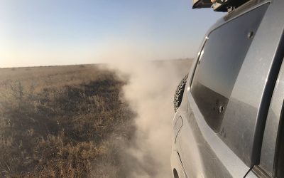 Bogged