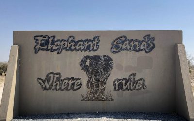 Elephant Sands